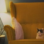 Sådan organiserer du din stue med stil