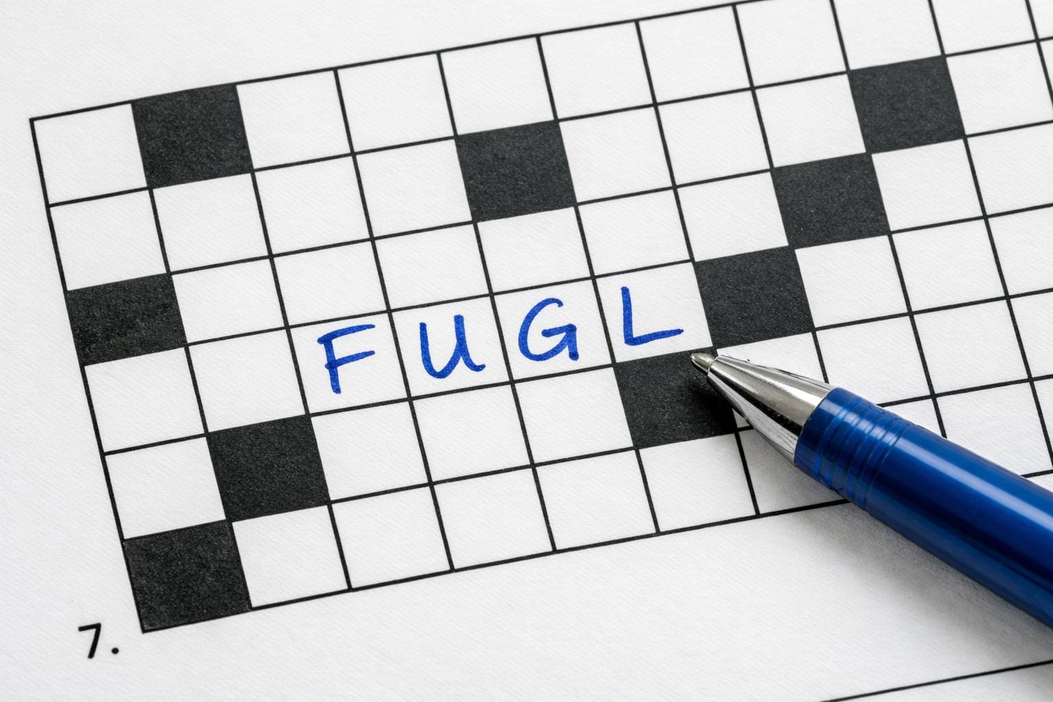 fugl krydsord