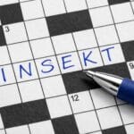 Insekt krydsord – Løsninger og synonymer