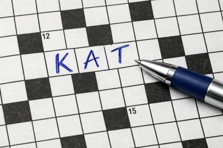 kat krydsord