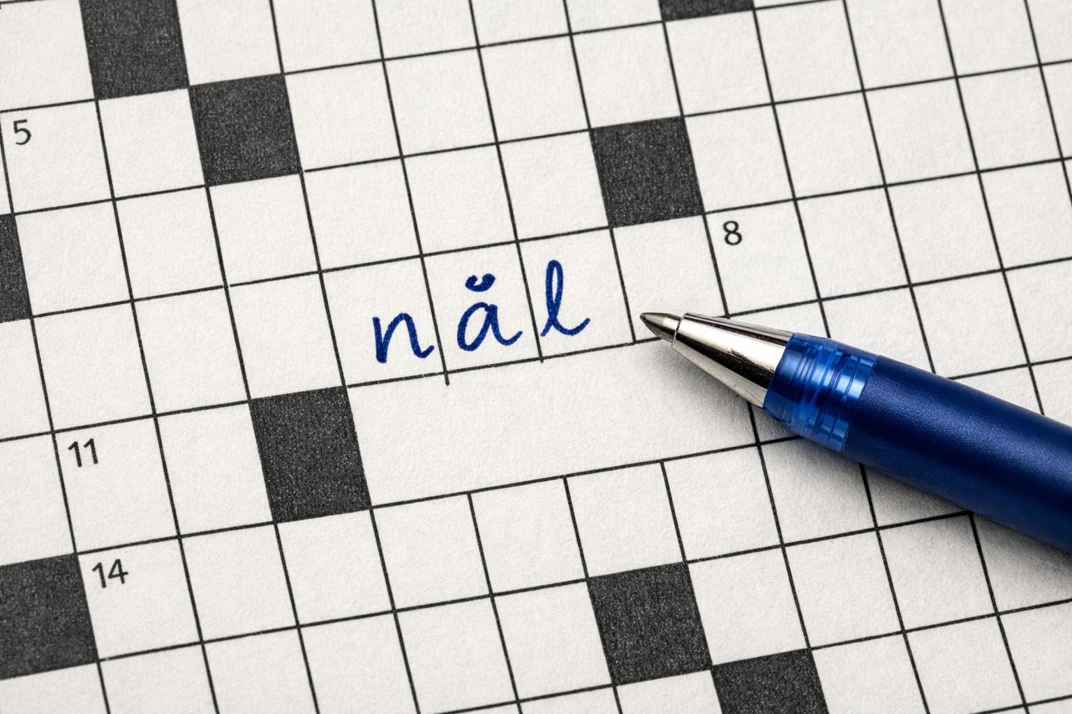 nål krydsord