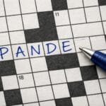 Pande krydsord – Løsninger og synonymer