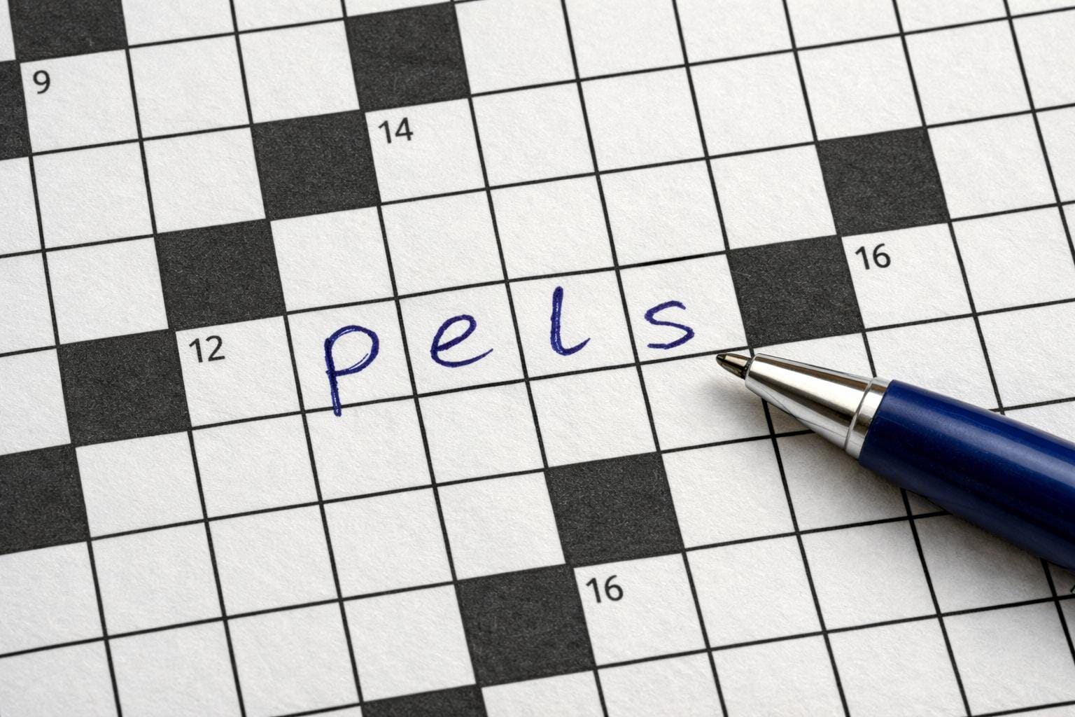 pels krydsord
