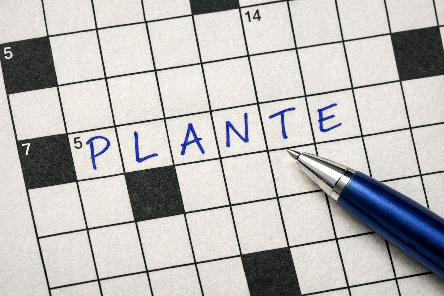 plante krydsord