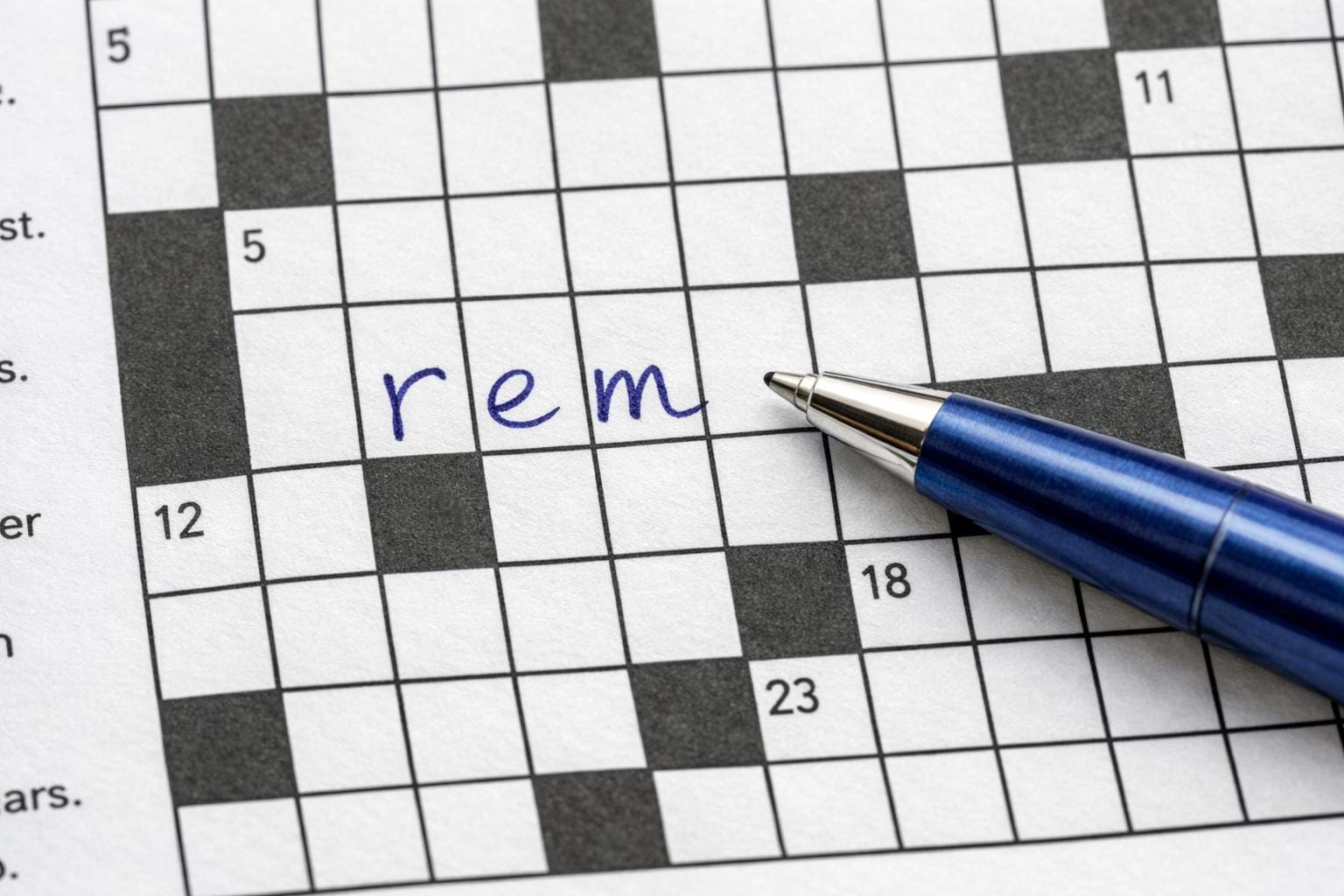 rem krydsord