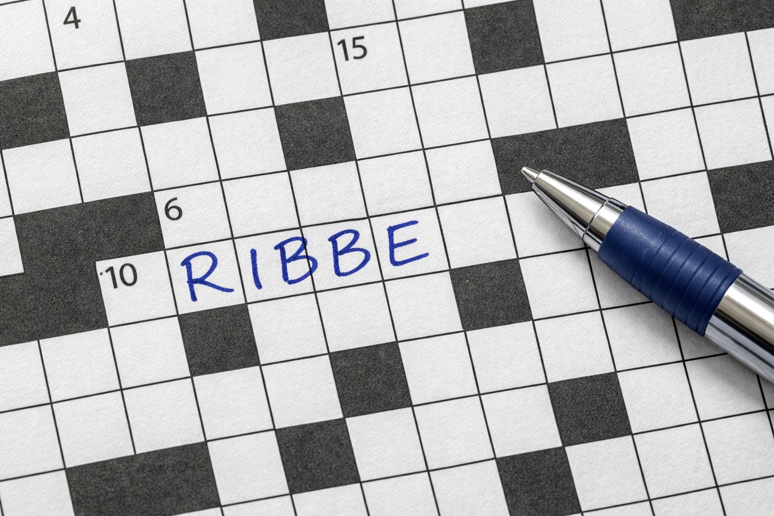 ribbe krydsord