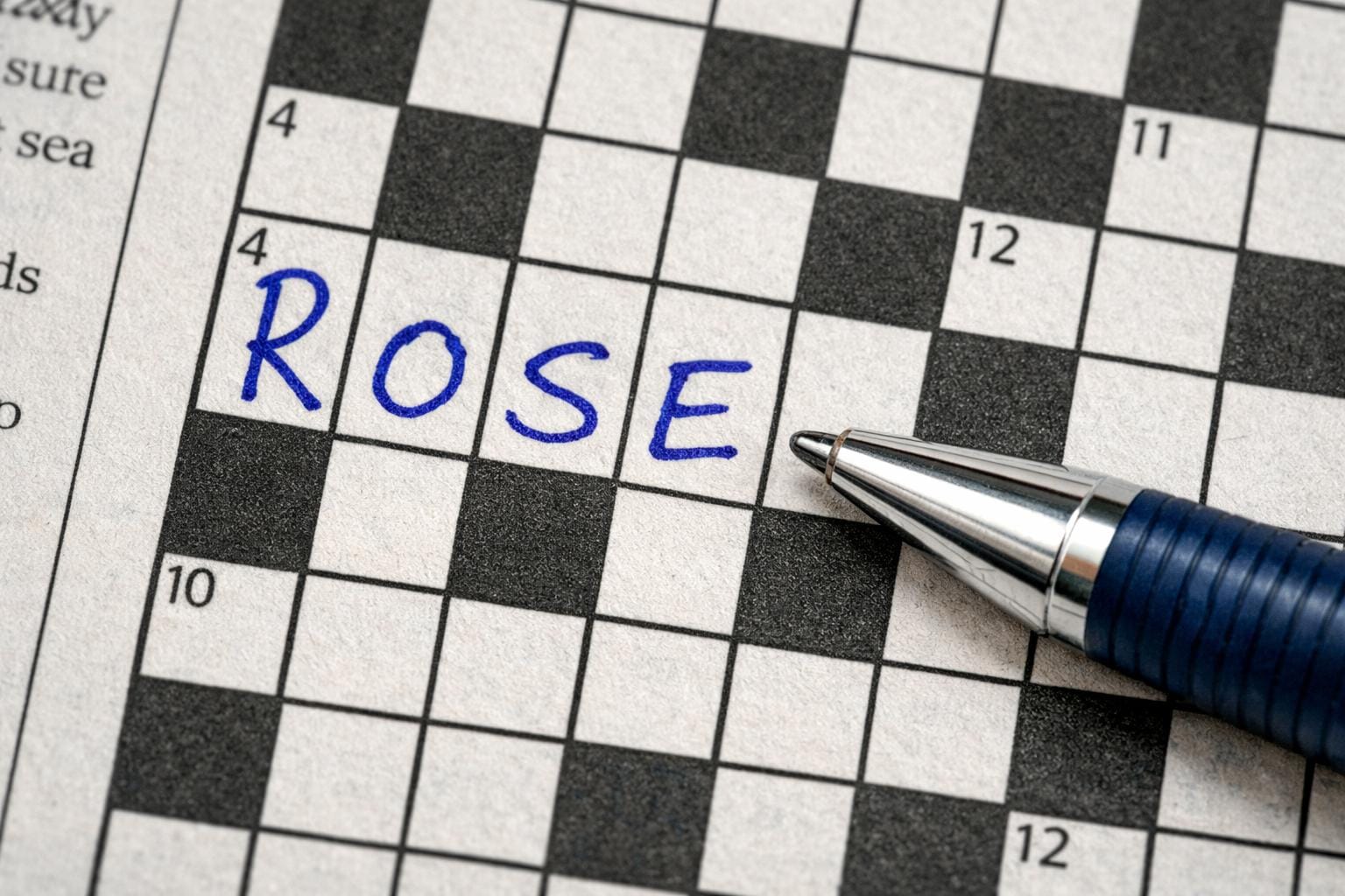 rose krydsord