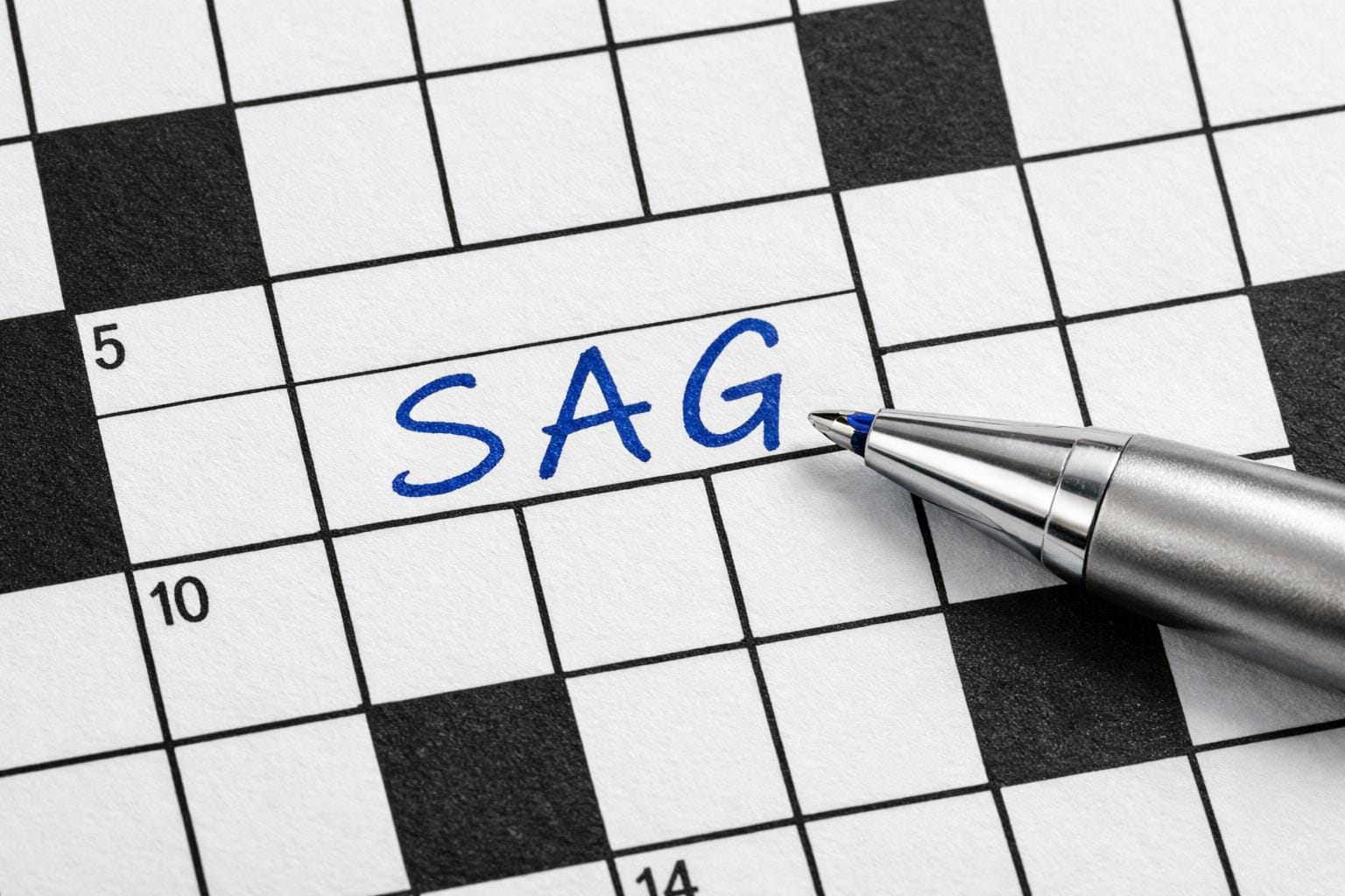 sag krydsord