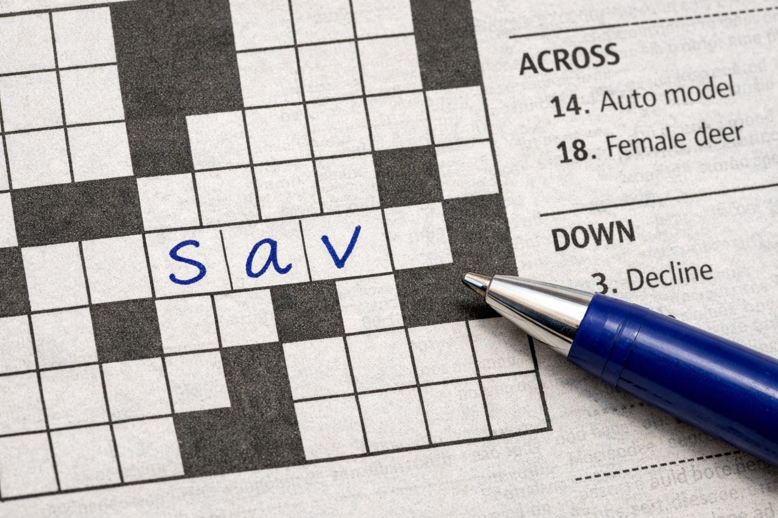 sav krydsord