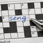 Seng krydsord – Løsninger og synonymer