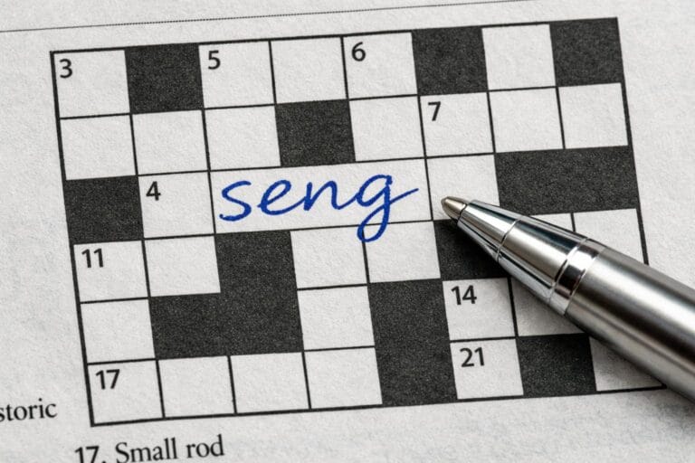 seng krydsord