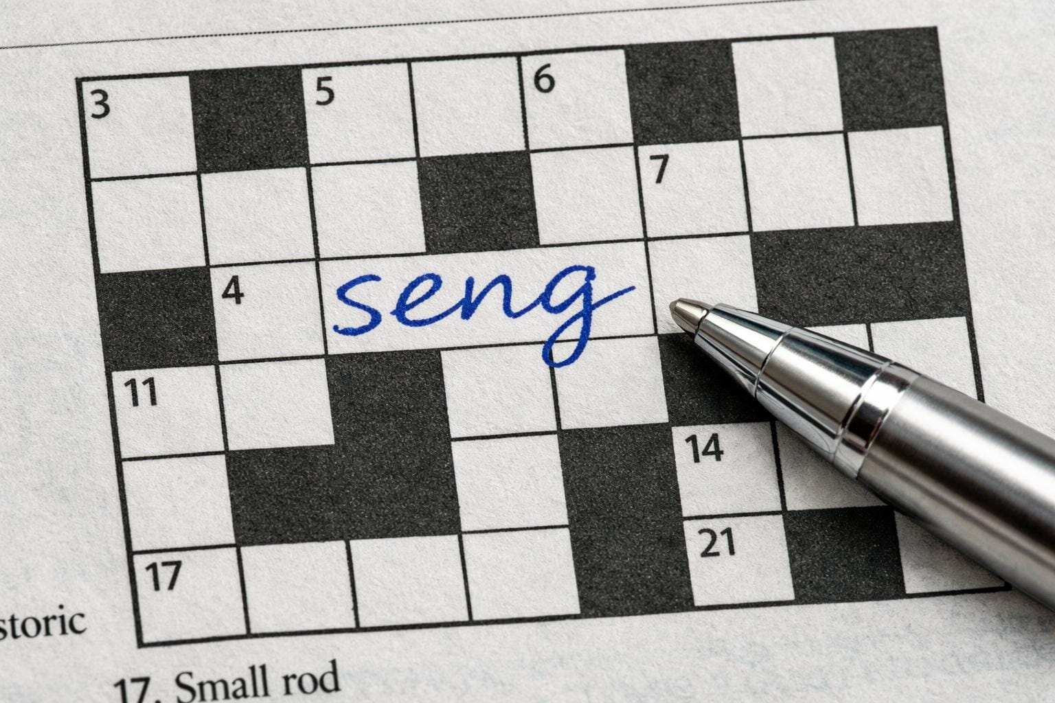 seng krydsord