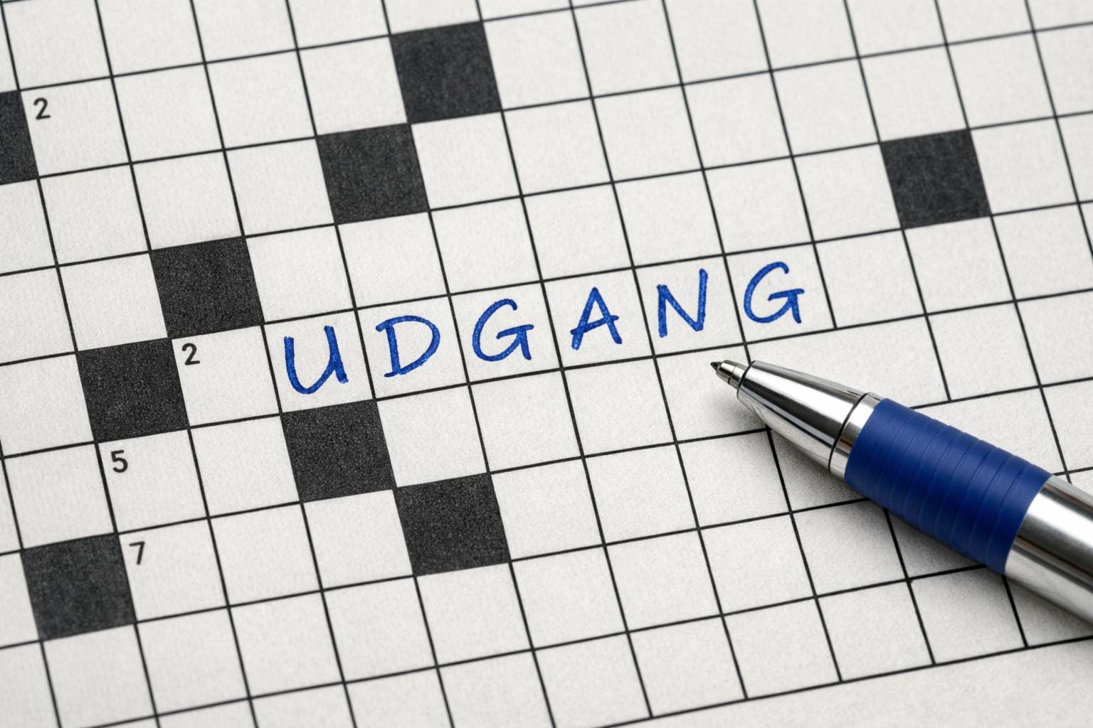 udgang krydsord