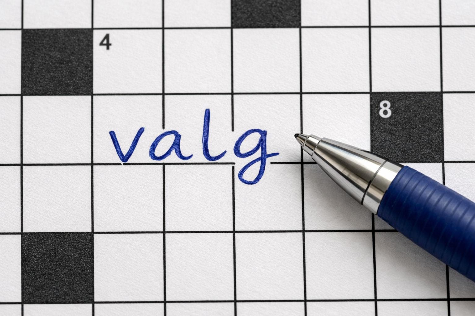valg krydsord