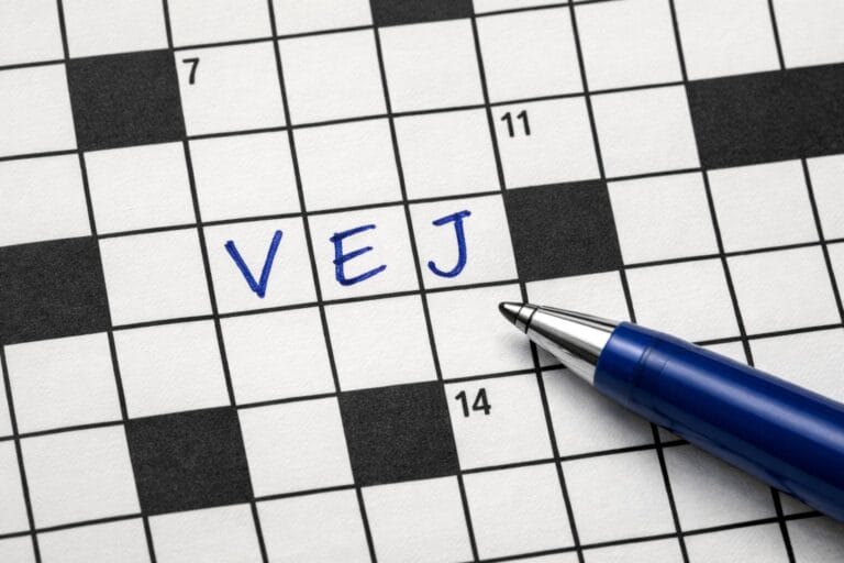 vej krydsord
